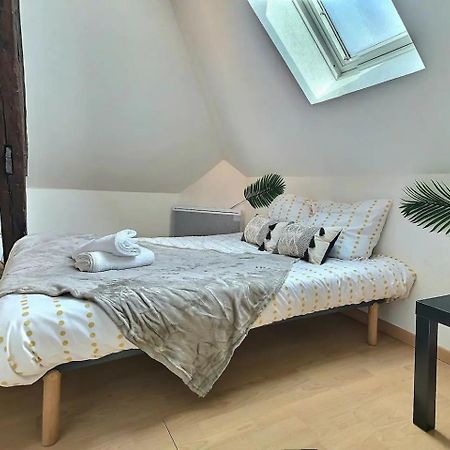 Le Travel - Appartement Equipe Proche Centre Et Yschools Троа Екстериор снимка